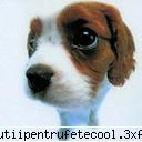 Welcome To My Page - mishto site-ul ... se vede k ai lucrat mult la el - Sunteti Skumpi daca...